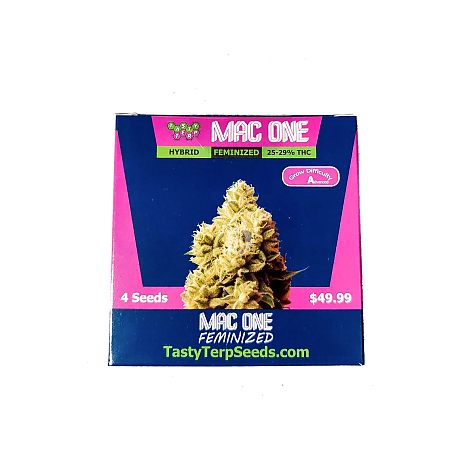 Tasty Terp Feminized Seeds 